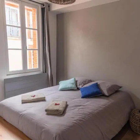 Le Cocon Des Puits Clos Apartmán Toulouse